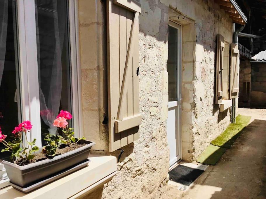 Logement Neuf Et Cosy Proche Centre Ville Chinon Exteriér fotografie